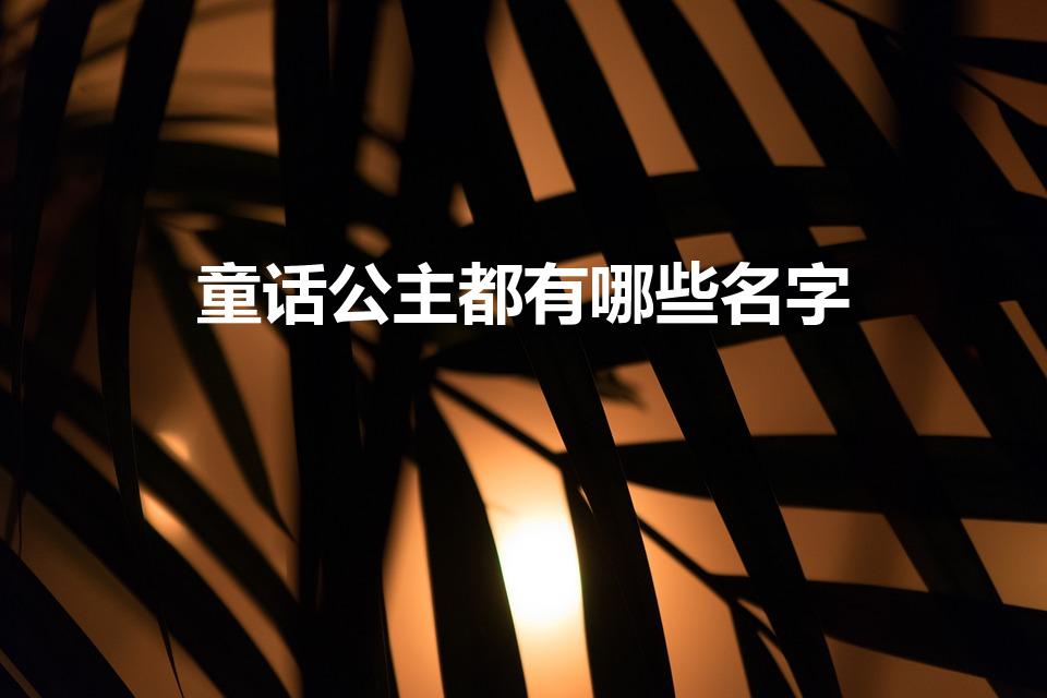 童话公主都有哪些名字（童话中都有哪些公主）
