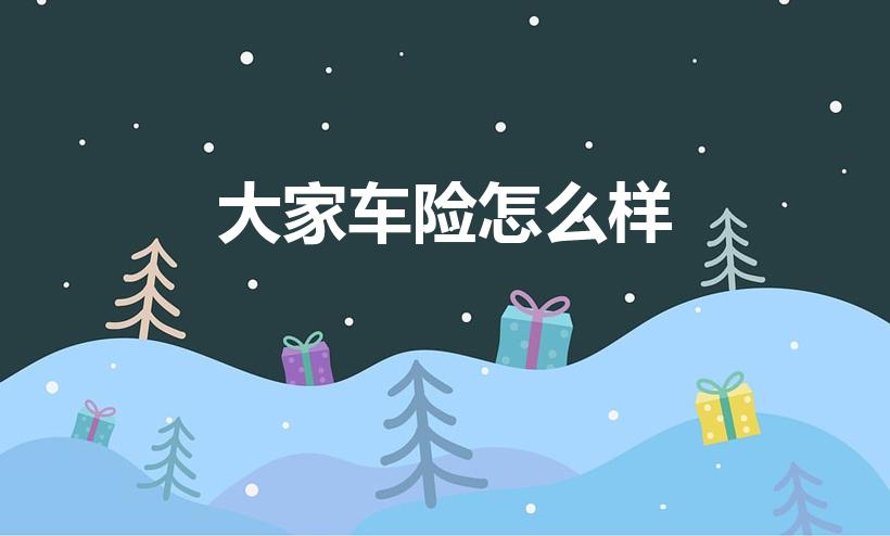 大家车险怎么样（车险买大家保险公司靠谱吗）