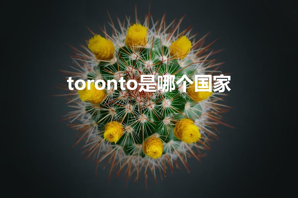 toronto是哪个国家（多伦多在哪个国家）