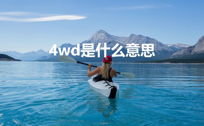 4wd是什么意思（车上的4wd是什么意思）