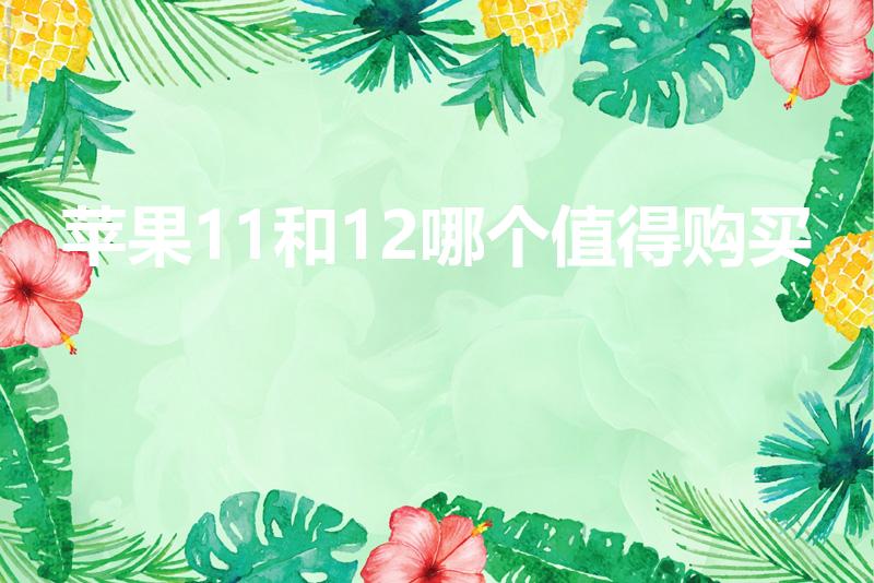 苹果11和12哪个值得购买