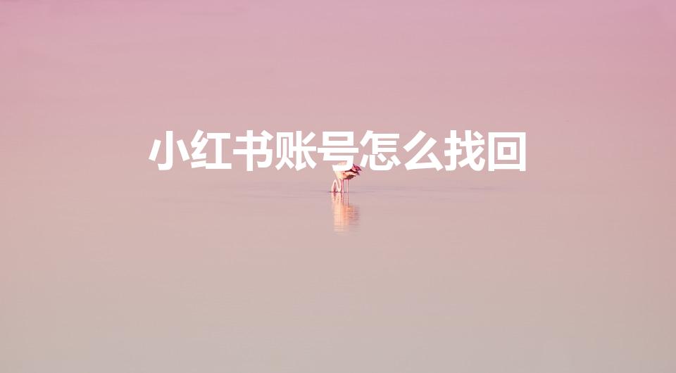 小红书账号怎么找回（小红书账号注销了怎么找回）