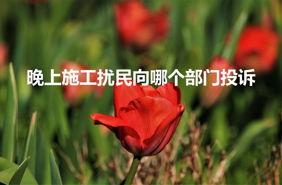 晚上施工扰民向哪个部门投诉（深夜施工扰民往哪里投诉）