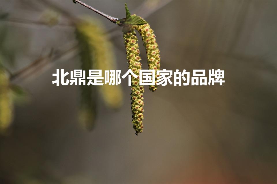北鼎是哪个国家的品牌（北鼎是哪里生产的）