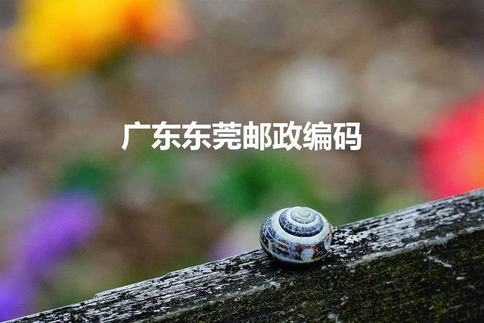 广东东莞邮政编码（东莞的邮政编码是多少）