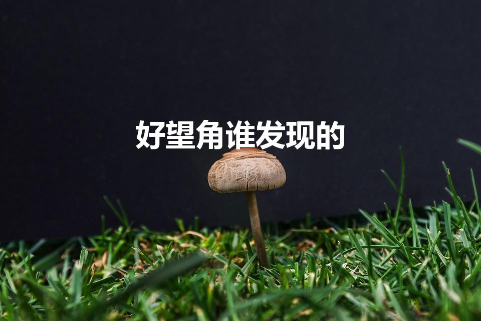 好望角谁发现的（好望角谁发现的啊）