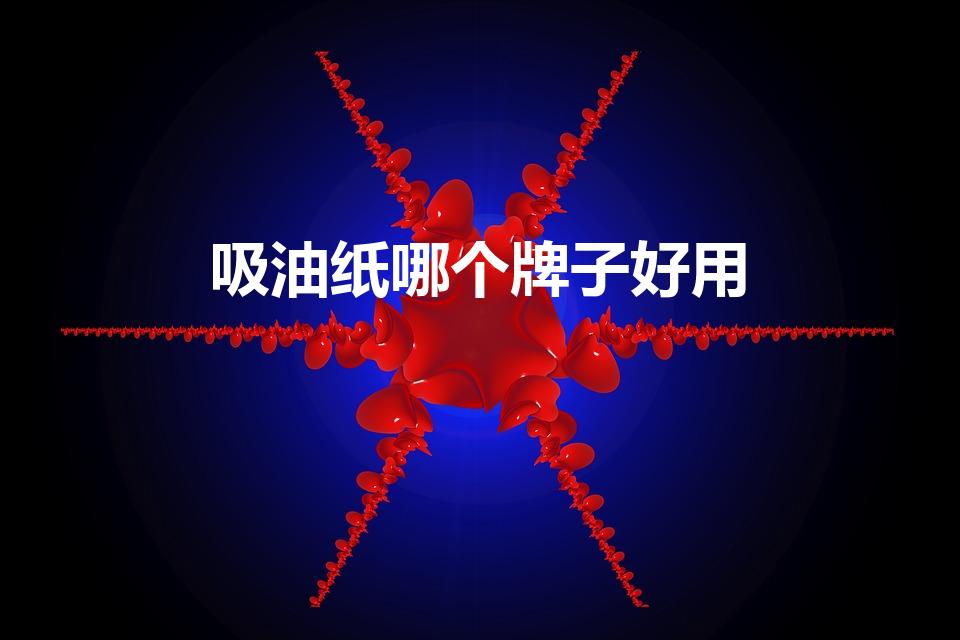 吸油纸哪个牌子好用（厨房吸油纸的品牌推荐）