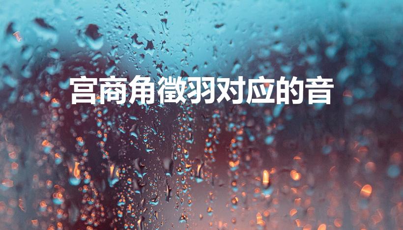宫商角徵羽对应的音（宫商角徵羽是什么）