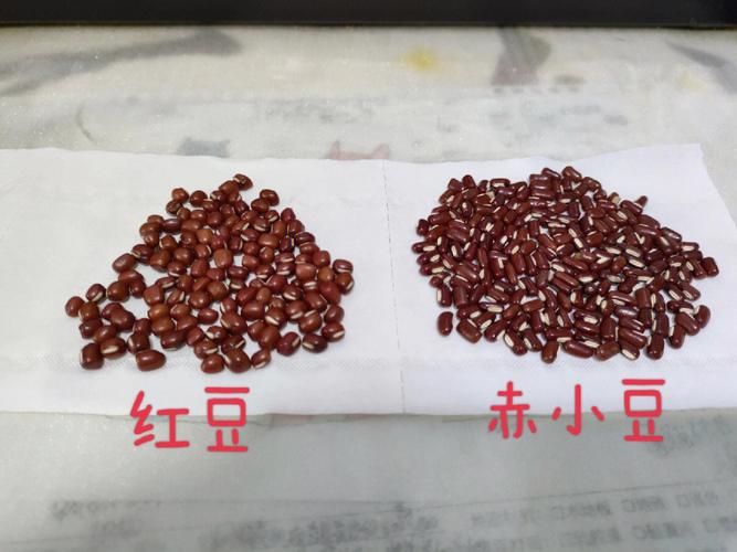 赤小豆是什么（赤小豆的起源和用途）