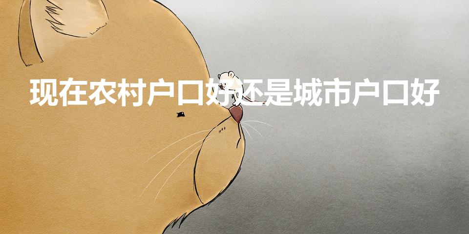 现在农村户口好还是城市户口好（农村户口和城市户口哪个好）