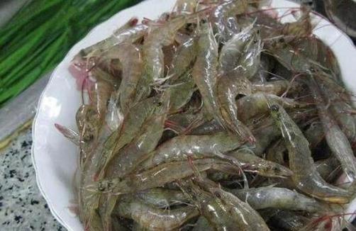 河虾头可以吃吗（河虾头是否安全食用？）