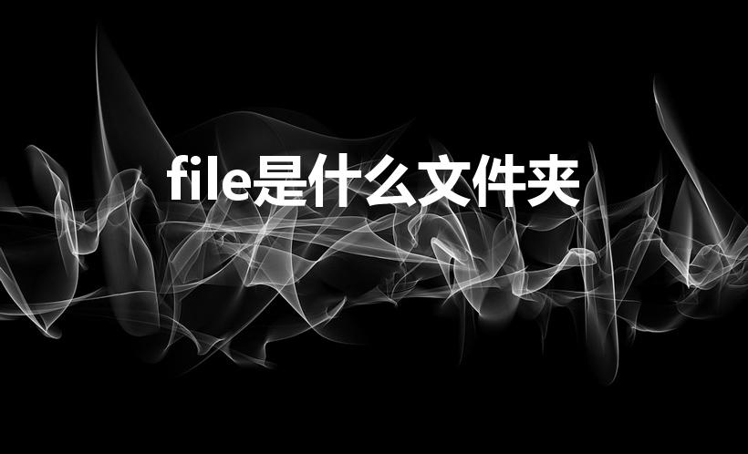 file是什么文件夹（Files是什么文件）