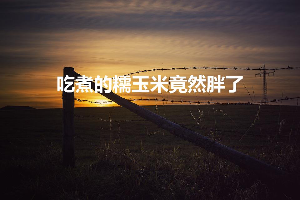 吃煮的糯玉米竟然胖了（吃糯玉米会胖）
