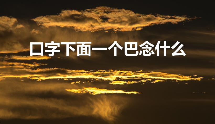口字下面一个巴念什么（一个口一个巴读什么字）
