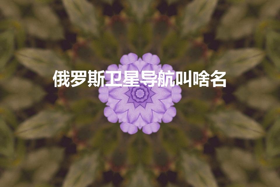 俄罗斯卫星导航叫啥名（俄罗斯的卫星导航系统叫什么名字）