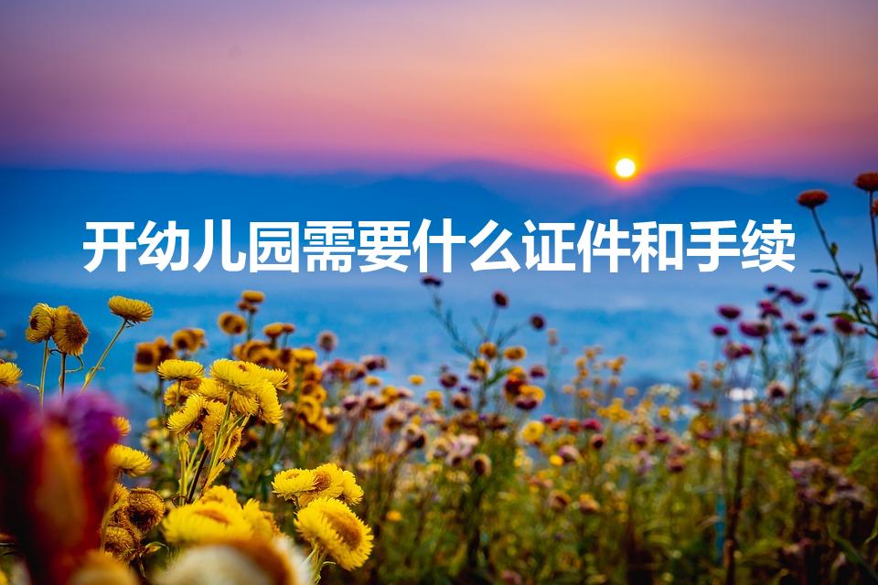 开幼儿园需要什么证件和手续