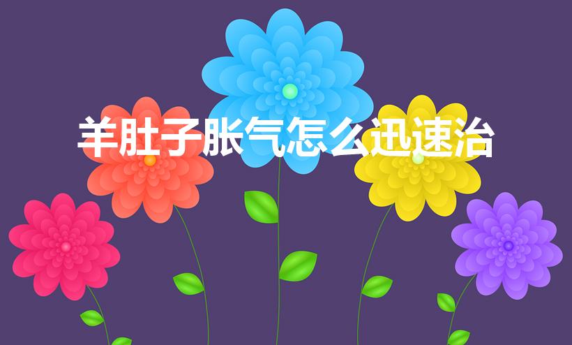 羊肚子胀气怎么迅速治（羊肚子鼓鼓的怎么办）