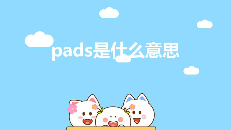 pads是什么意思（PADS是什么啊）