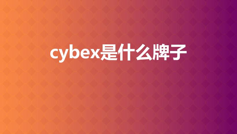 cybex是什么牌子（德国三大安全座椅排名）