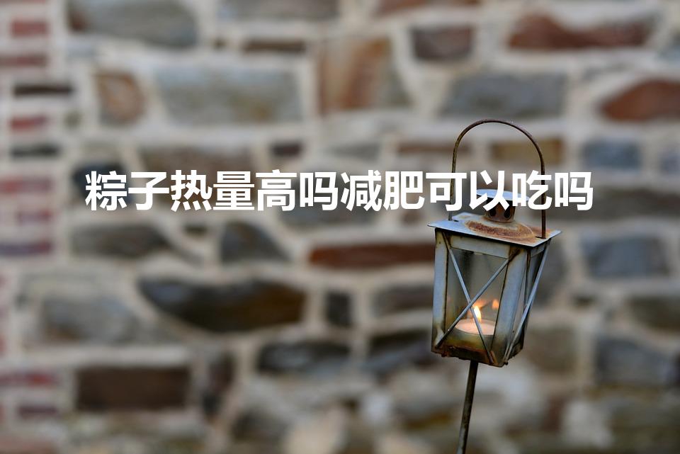 粽子热量高吗减肥可以吃吗