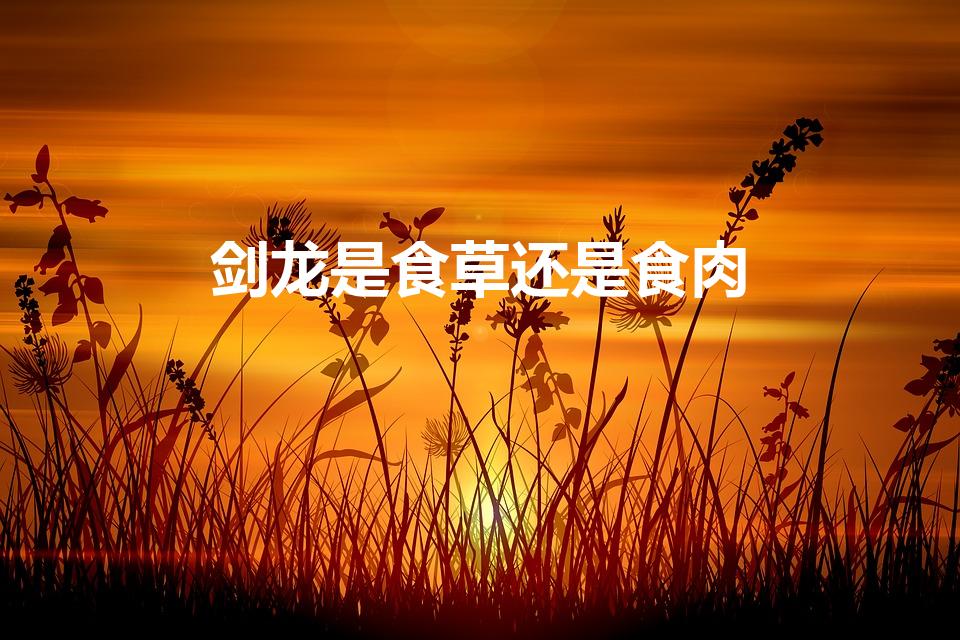 剑龙是食草还是食肉（剑龙的生活习性是什么）