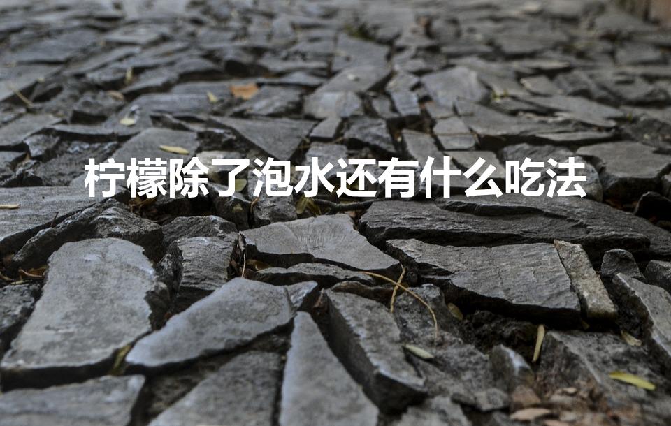 柠檬除了泡水还有什么吃法（柠檬有什么吃法）