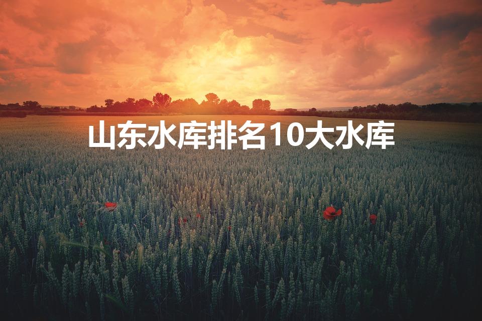 山东水库排名10大水库（山东最大的水库前十位）