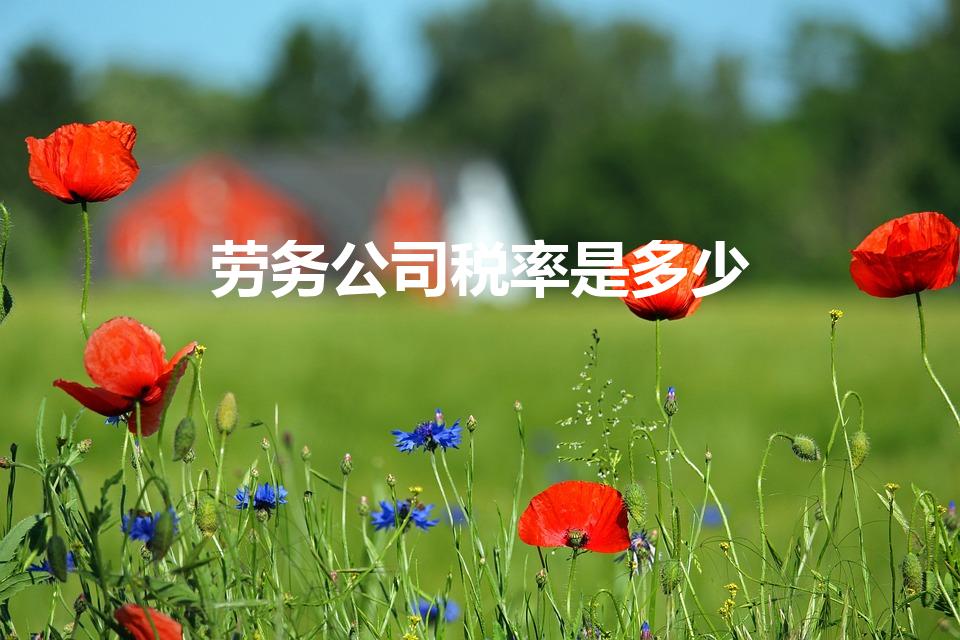 劳务公司税率是多少（劳务公司劳务费税率是多少）