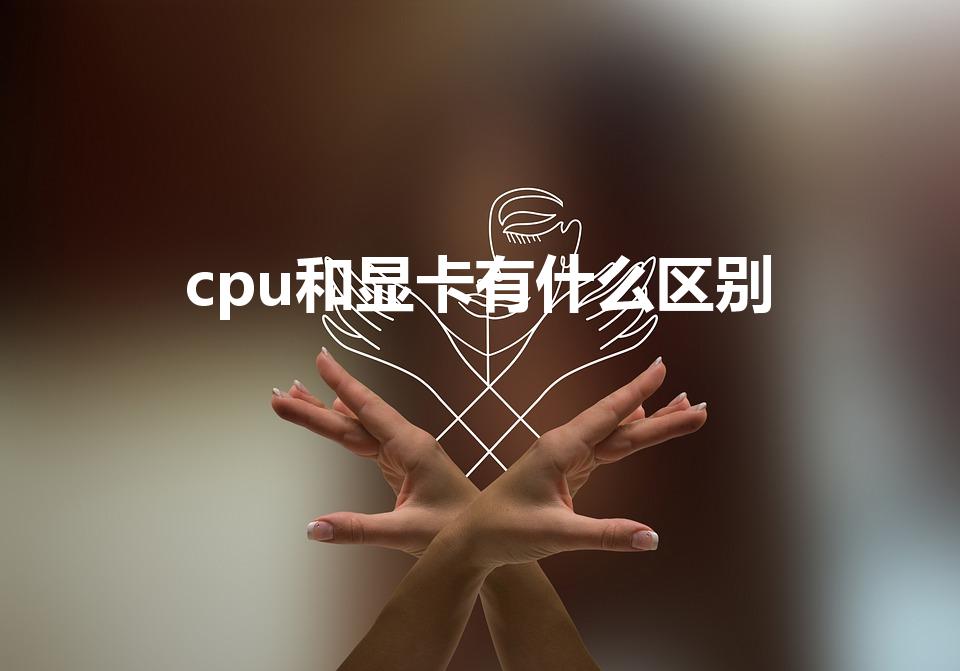 cpu和显卡有什么区别（电脑cpu和显卡有什么区别）