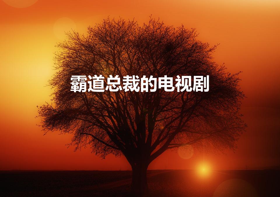 霸道总裁的电视剧（霸道总裁电视剧有哪些）