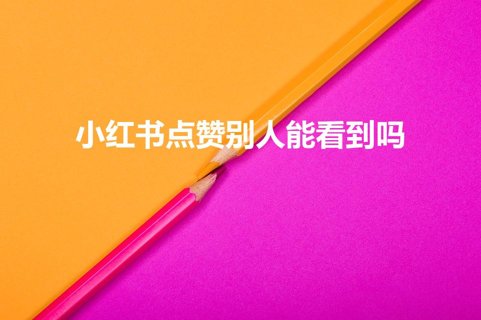小红书点赞别人能看到吗（小红书赞过的内容别人能看到吗）