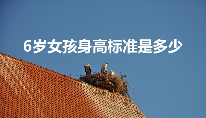 6岁女孩身高标准是多少（六岁女孩正常身高是多少）