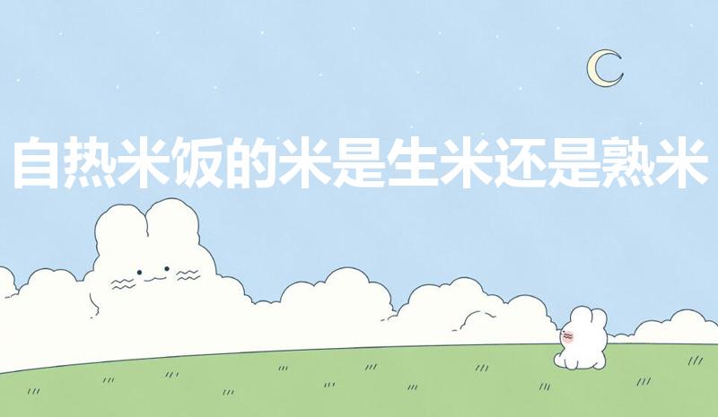 自热米饭的米是生米还是熟米（自热米饭的米是什么米）