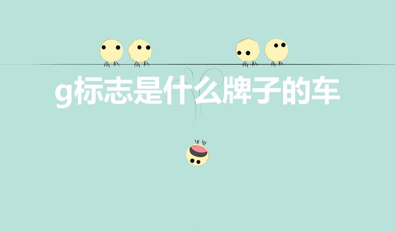 g标志是什么牌子的车（车标带g的是什么车）