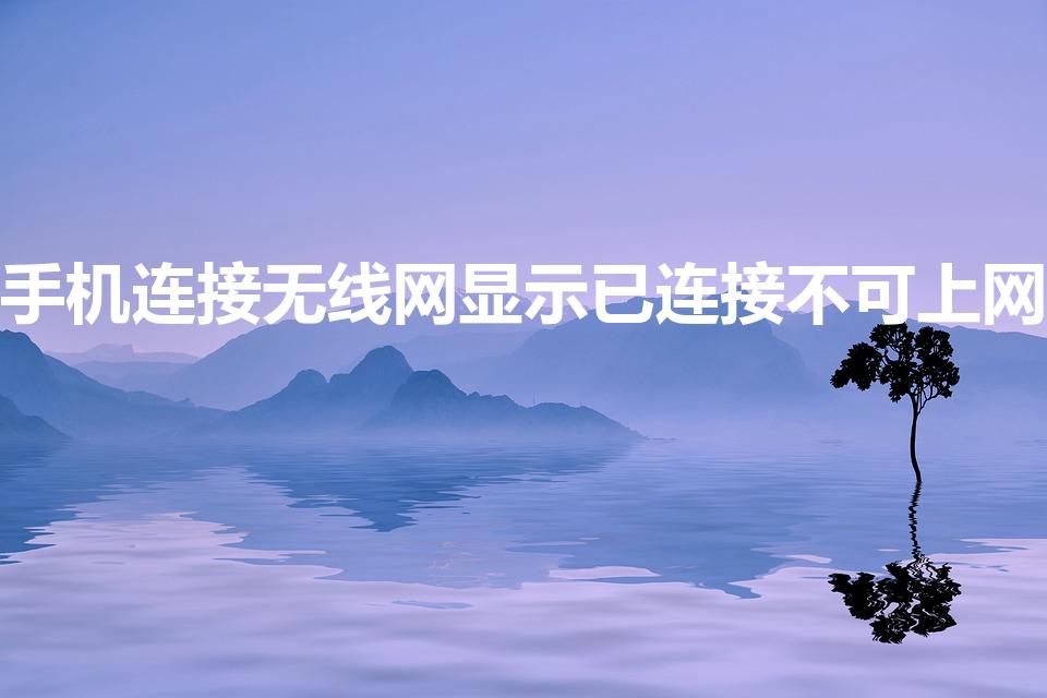 手机连接无线网显示已连接不可上网