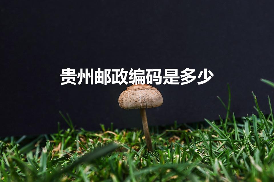 贵州邮政编码是多少（贵州邮政编码）