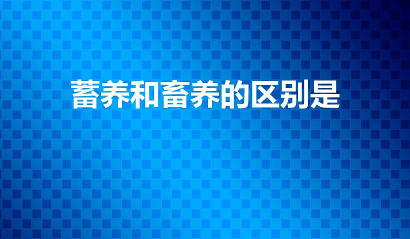蓄养和畜养的区别是（畜和畜怎么区别呢）