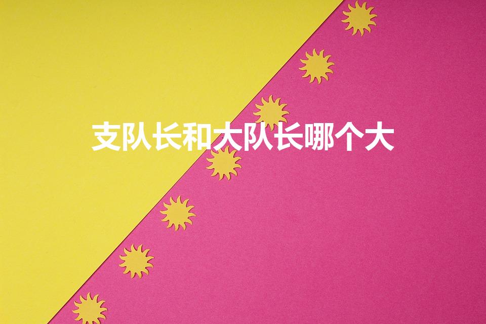 支队长和大队长哪个大（治安大队长和支队长哪个官更大些）