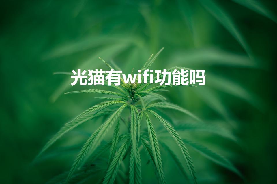 光猫有wifi功能吗（无线光猫的用途是什么）