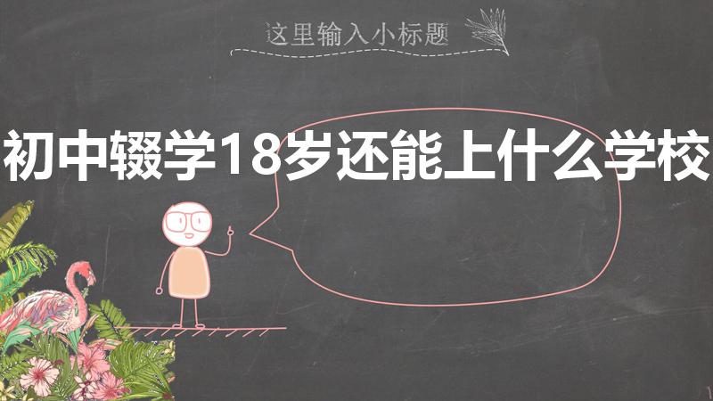 初中辍学18岁还能上什么学校（初中辍学可以去读什么学校）