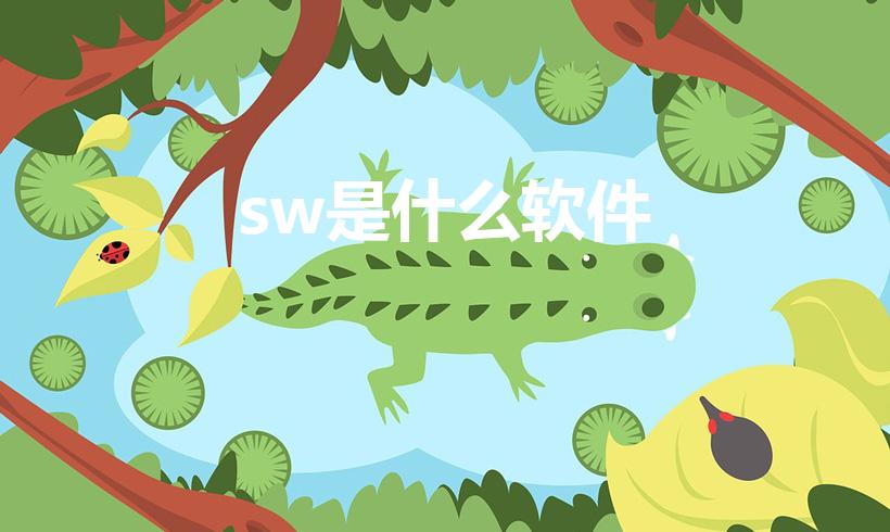 sw是什么软件（SW是什么）