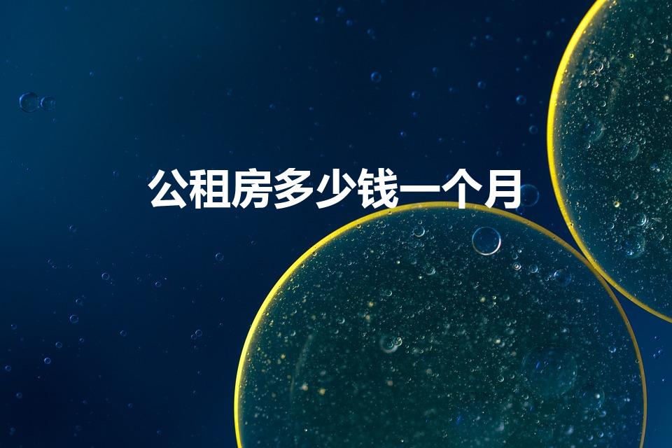公租房多少钱一个月（公租房价格是多少）