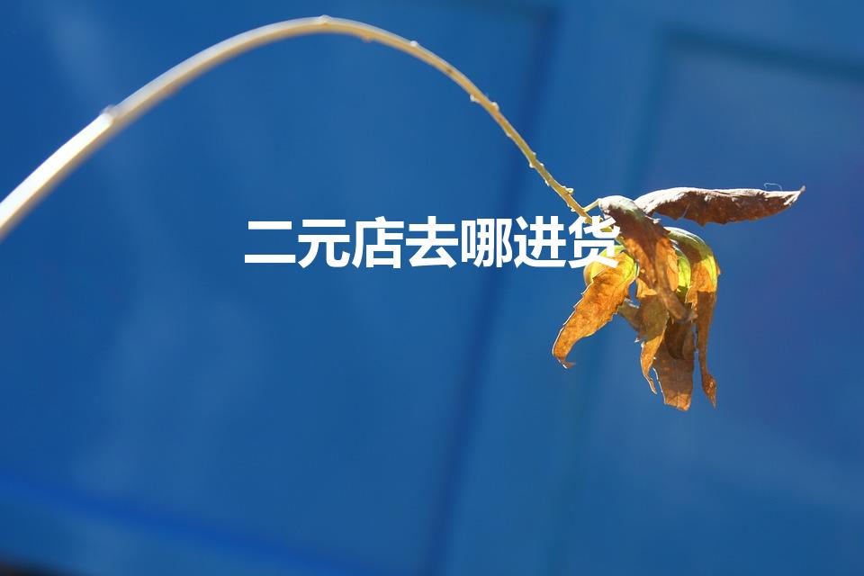 二元店去哪进货（开个2元店从哪里进货）