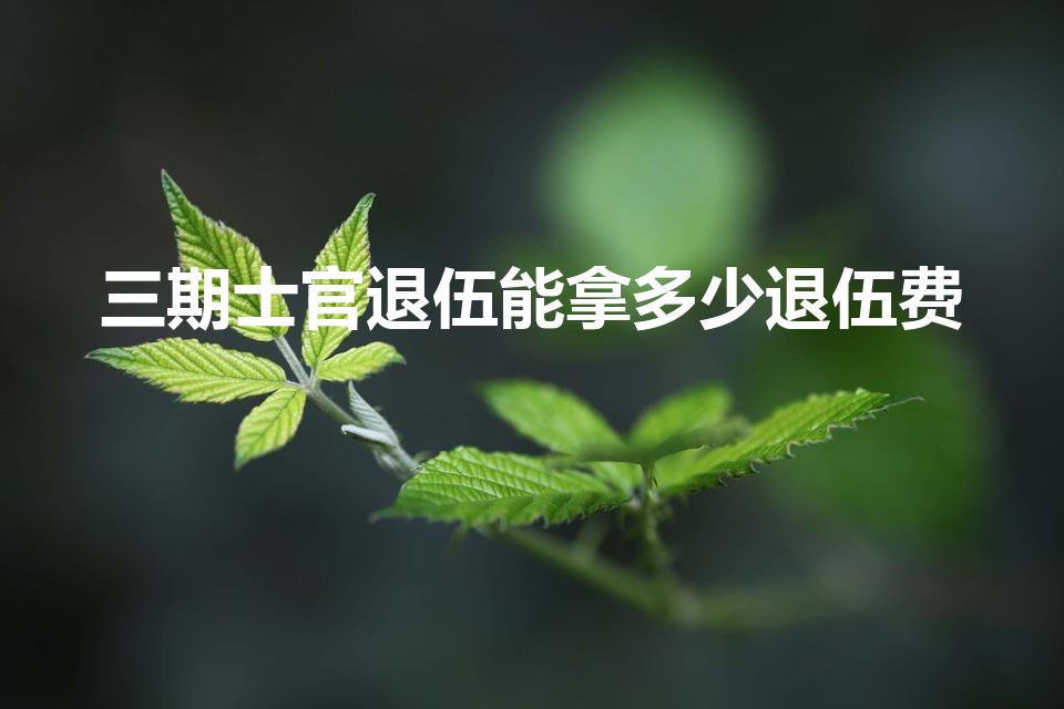 三期士官退伍能拿多少退伍费（三期士官退伍费多少）