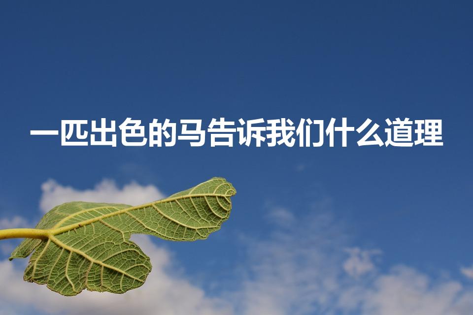 一匹出色的马告诉我们什么道理（一匹出色的马告诉我们什么）