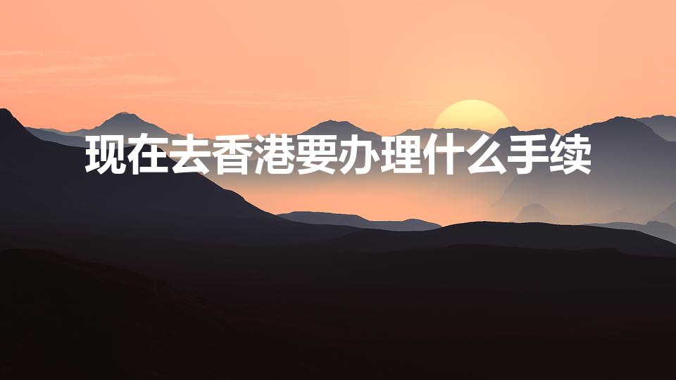 现在去香港要办理什么手续（大陆居民去香港需要什么证件）
