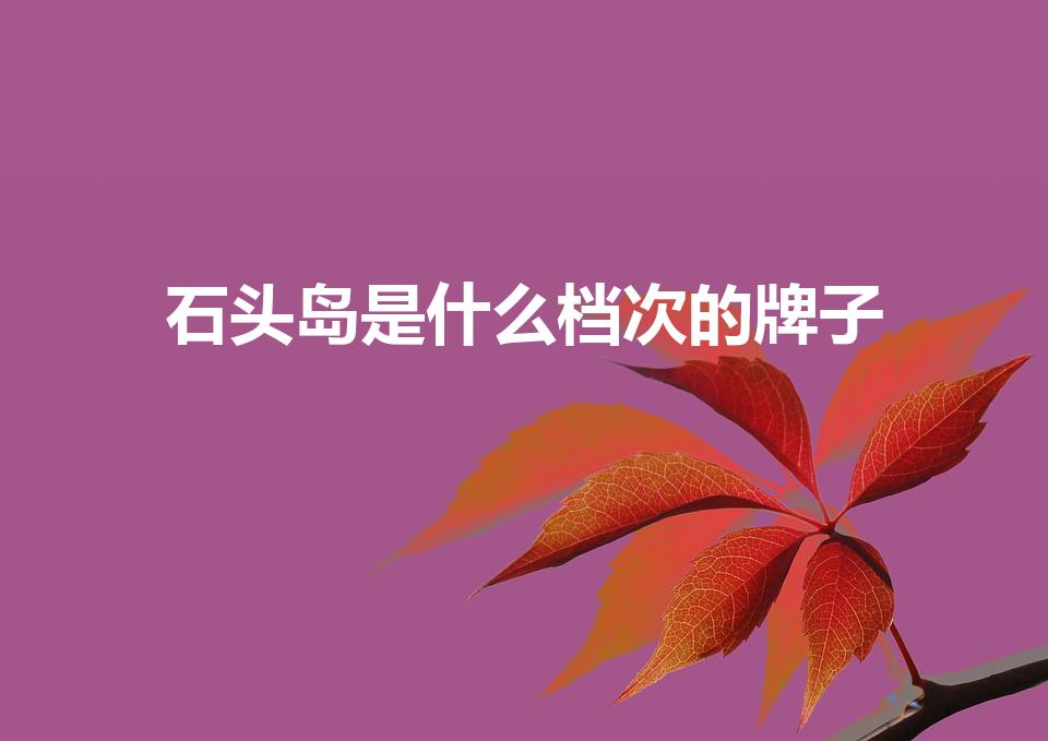 石头岛是什么档次的牌子（石头岛是什么档次）
