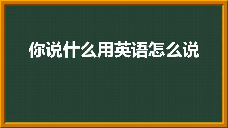 你说什么用英语怎么说（“你在说什么”用英语怎么说）