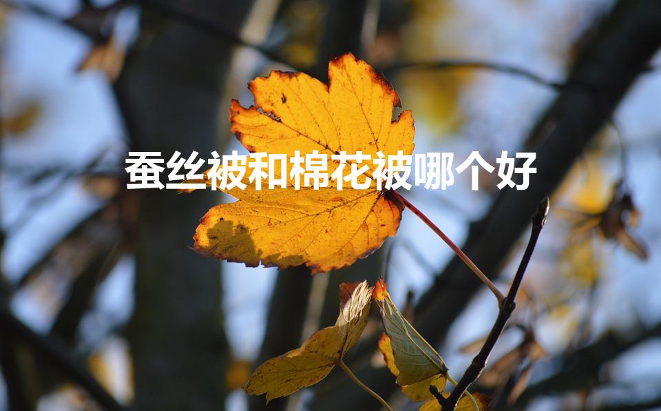 蚕丝被和棉花被哪个好（棉花被和蚕丝被哪个更好更健康）