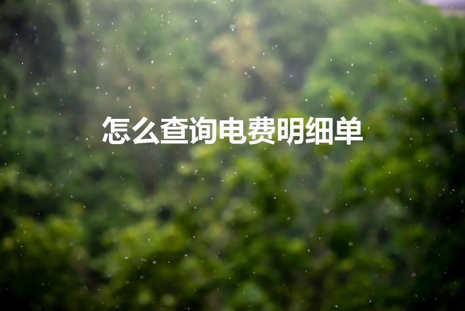 怎么查询电费明细单（怎么查电费明细）